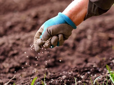 Not everything is my&nbsp;fault